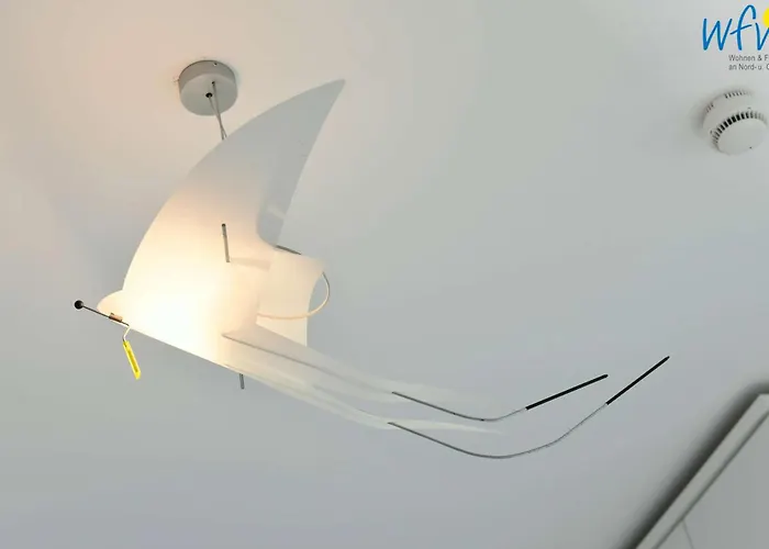 Bootshaus In Den Duenen - 5 - 